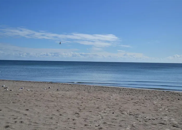 Hansa App 2, 2 Sz, 2 Baeder, Terrasse By Unsere Urlaubszeit Lejlighed Binz